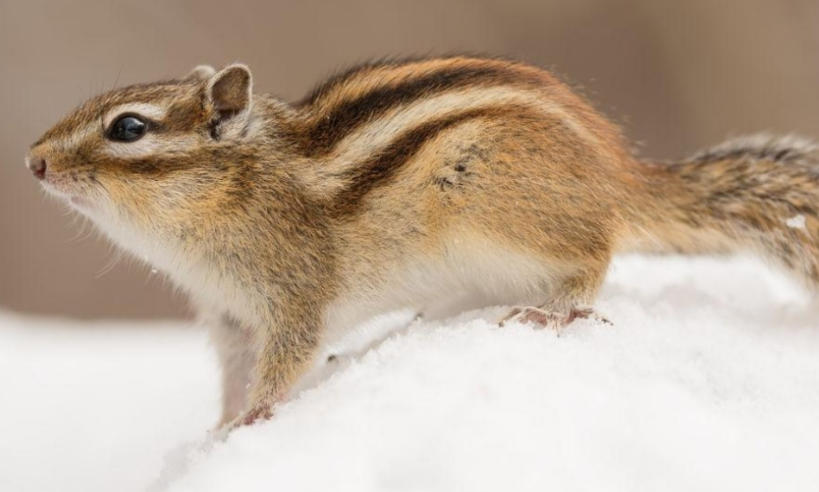 聊城市光旭管业有限公司轮播图2