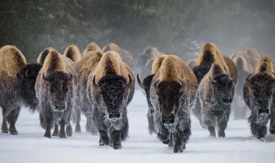 聊城市光旭管业有限公司轮播图2